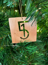 Load image into Gallery viewer, 1-in-5 Ornament